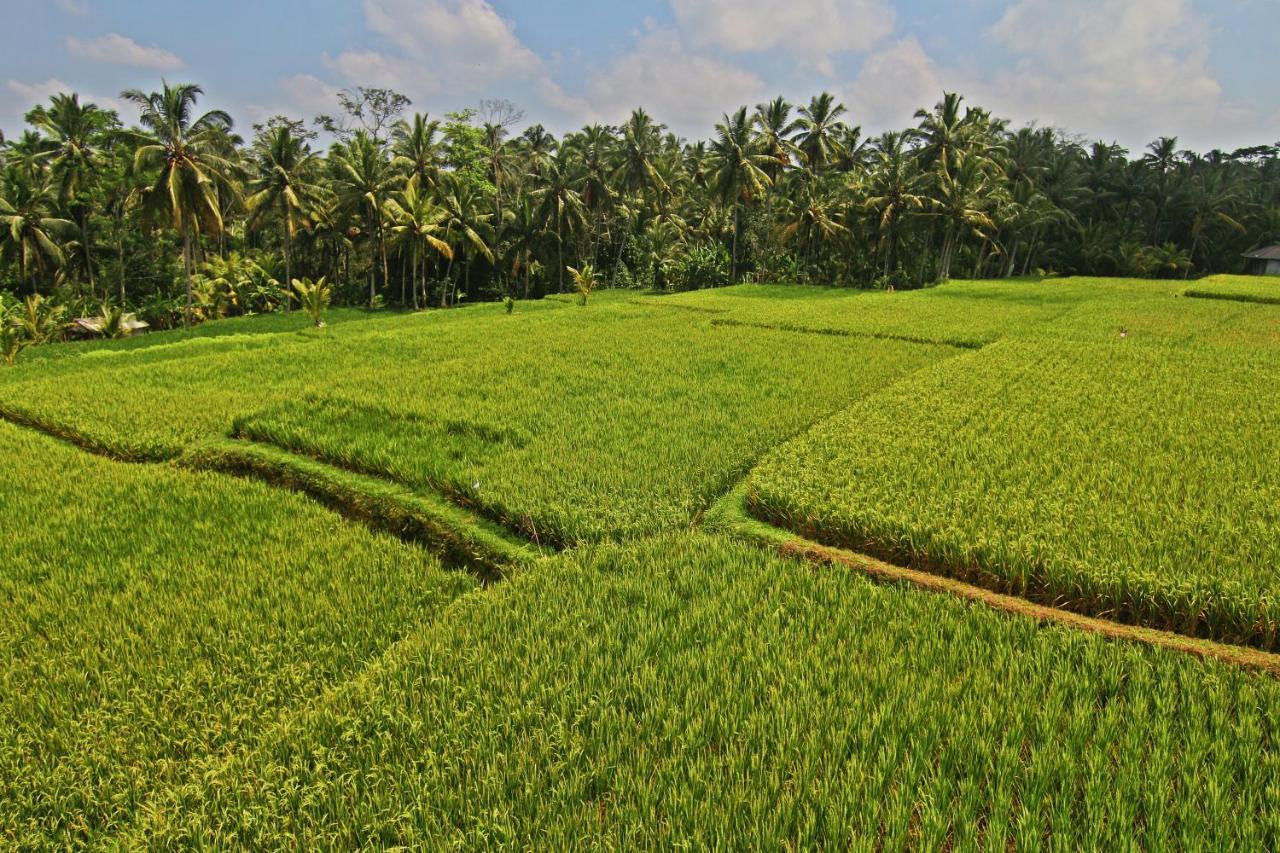 Greenfield Luxury Villas Ubud  Exterior photo