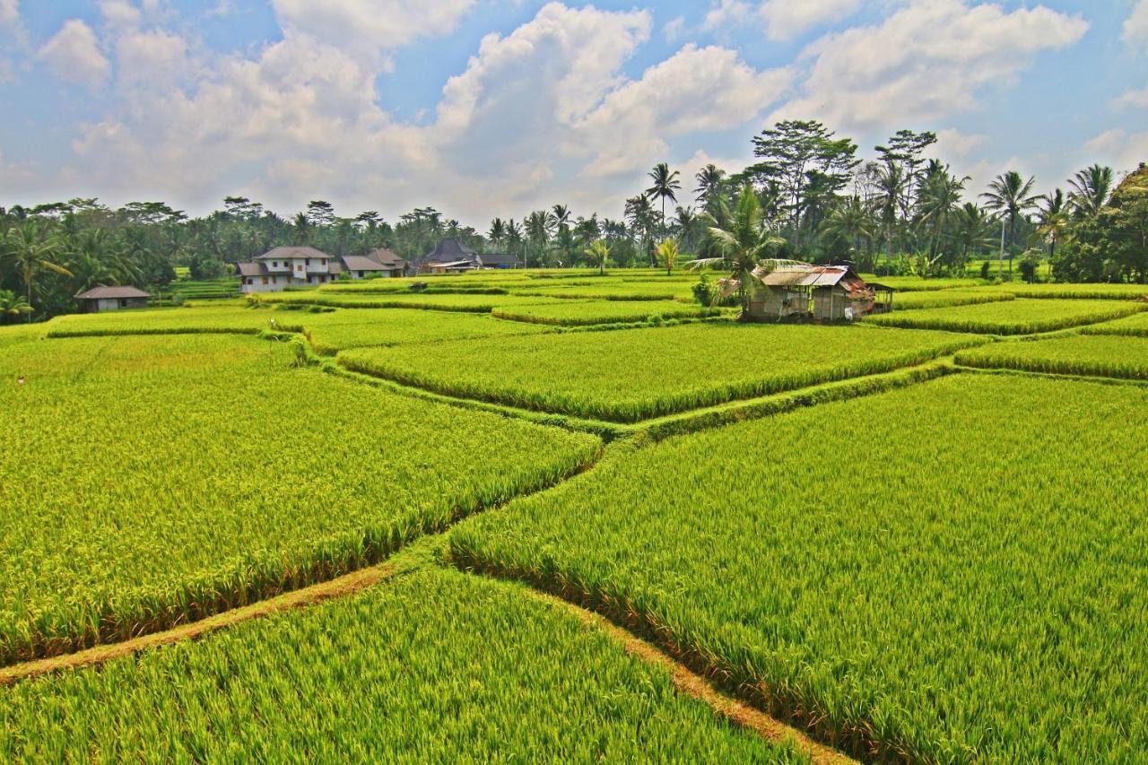 Greenfield Luxury Villas Ubud  Exterior photo