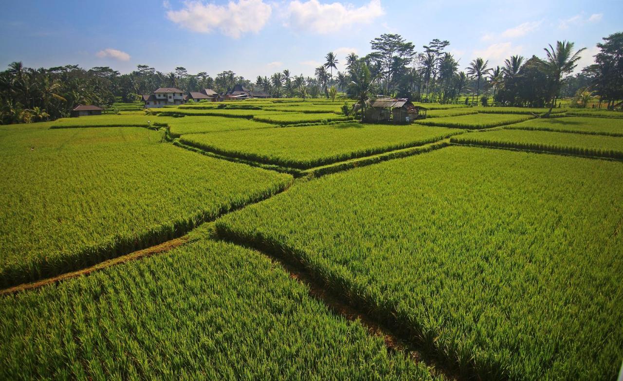 Greenfield Luxury Villas Ubud  Exterior photo