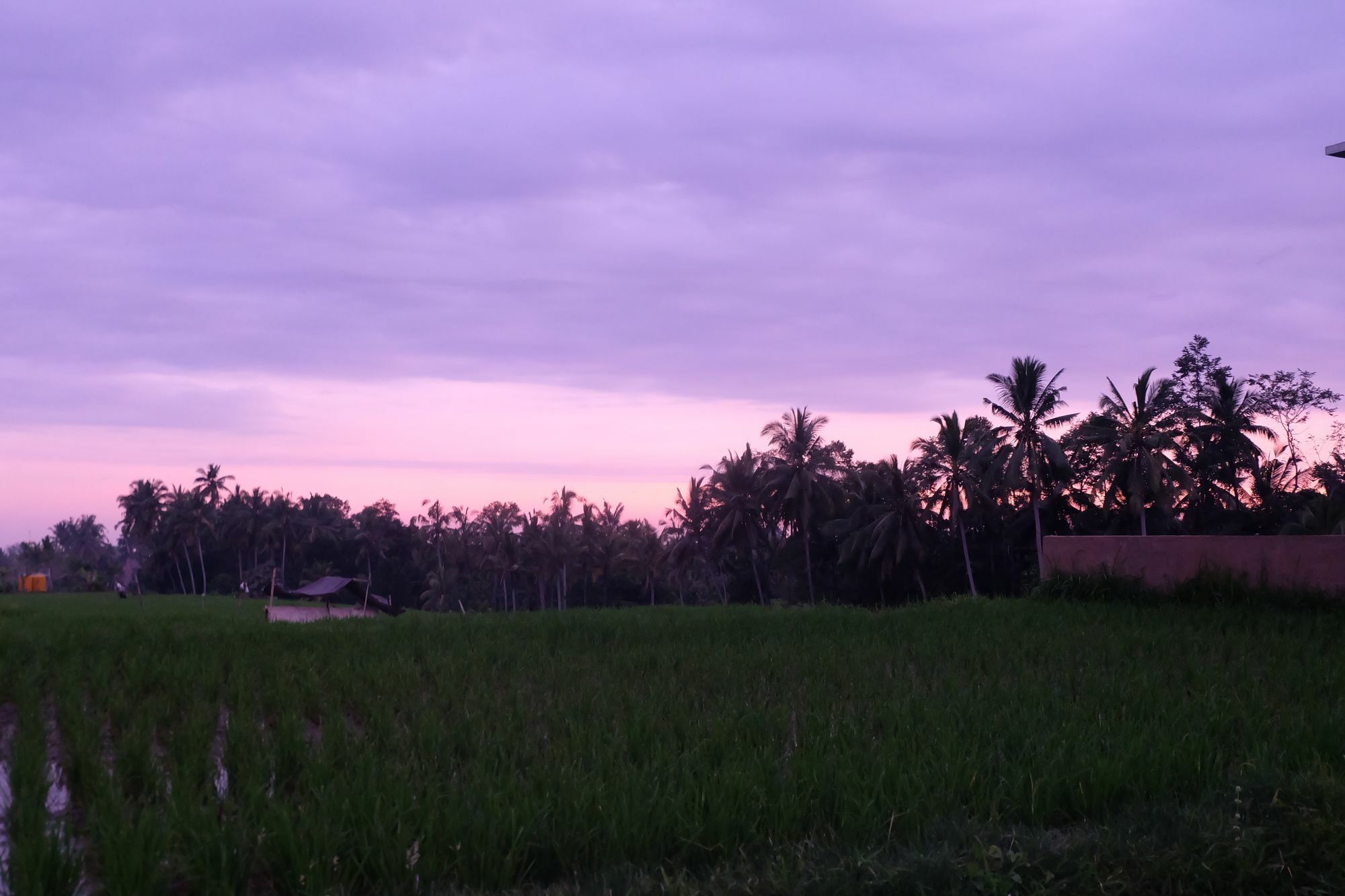 Greenfield Luxury Villas Ubud  Exterior photo